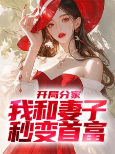 开局分家，我和妻子秒变首富